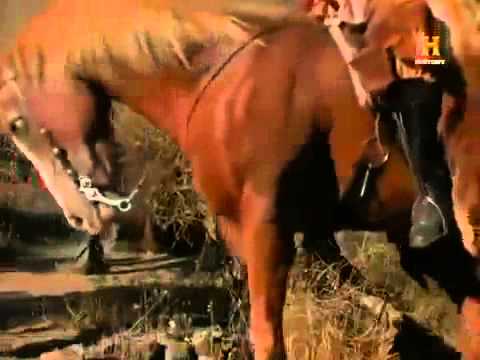 Die Eroberung Amerikas Der Südwesten Reportage über Amerika Teil 2