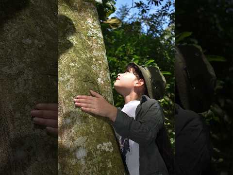 El Tesoro Verde de Chinácota | Documental ambiental | SmartFilms Colombia 2024