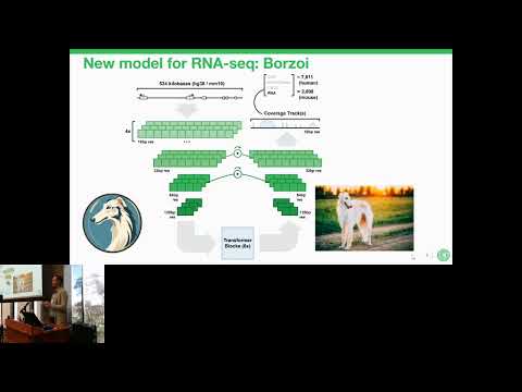 Predicting RNA-seq coverage from DNA sequence as a unifying... - David Kelley - RSG - RSGDREAM 2023