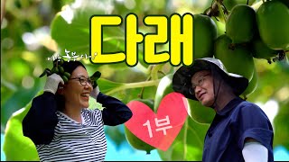 [나는농부다 321회 1부] 내 사랑 다래! 홍보가 기가 막혀