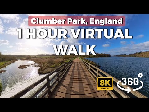 1-Hour 360° Virtual Power Walk – Clumber Park, England, UK (8K VR Treadmill Experience)