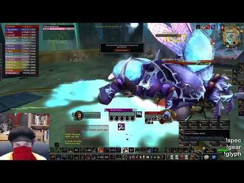 HOLY PALADIN Finishes Off Anub'arak when EVERYONE ELSE IS DEAD!