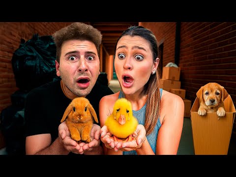 RESGATAMOS ANIMAIS ABANDONADOS POR TODA CIDADE! *COITADINHOS*