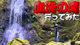 酷道を超えた先にあったのは、太古の歴史が眠る神秘的な場所だった。【血洗の滝】
