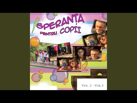 Gospodarul prin ocol