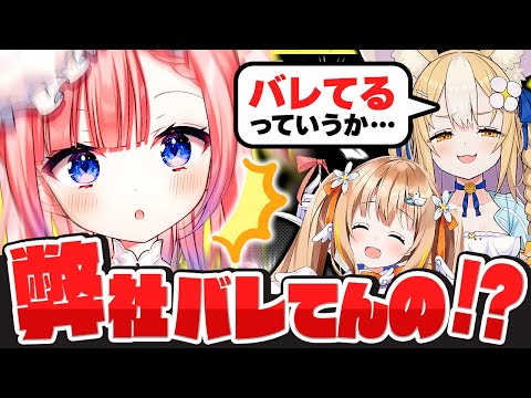 動画1