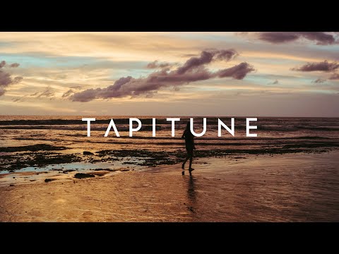 ANOTR, Erik Brandt - How You Feel (Imad & Jad Alexander Remix)