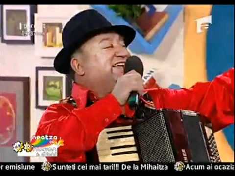 MIRCEA VIJELIE - CINE DOARME LINISTIT - ASCULTARE