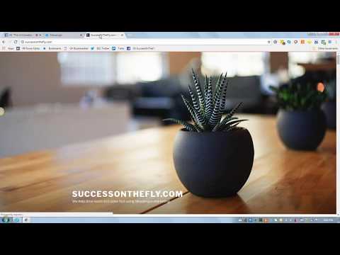 How To Automatically Deliver A Lead Magnet Using "Live Chat' On Your Website & FB Biz Page Fast