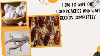 How to wipe out cockroaches and wall geckos permanently.