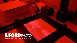 Making Your First Black &amp; White Darkroom Print