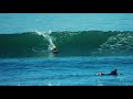 Sugar The Surfing Dog