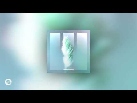Passenger 10 - Silent Echoes