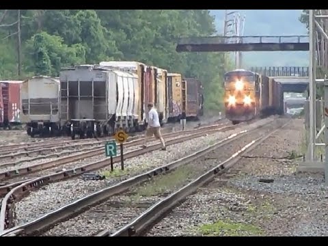 Brazen Trespasser in Lawrence Yard