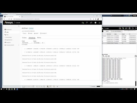 Video Image