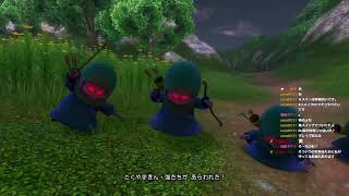【アーカイブ】DQXIs #11 ぜーらんだ山どぅーらんだ山にむかう