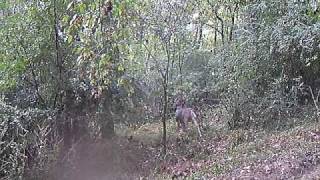 Big 8 point - 3rd Video - Wildgame innovations WGI - X6c camera