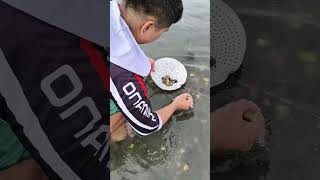 Download lagu I Found Clam Spot mp3
