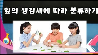 4학년 2학기 과학: 1. 식물의 생활 : 잎의 생김새에 따라 분류하기