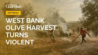 Israeli Settlers Torch Olive Trees! Journalist Injured in West Bank Attack | TSG