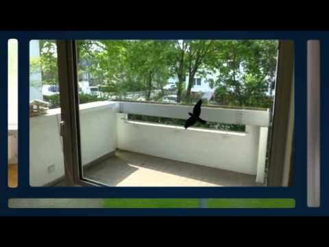 Freundliche 1 Zimmer Wohnung in Waldheim