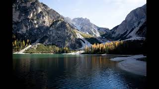 The Way of Love - Clifford T  Ward