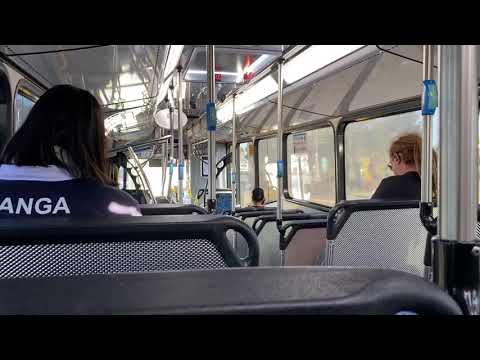 Busabout Sydney: m/o 6636 - MAN 19.320 HOCL-R-NL Bustech VST