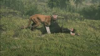 RDOでクーガに襲われるだけの動画