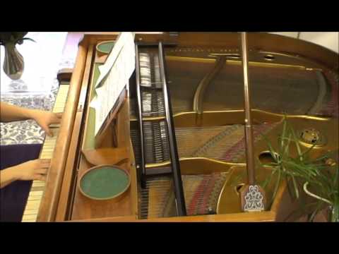 Bratři Štinglové, c. a k. dvorní továrníci pian ve Vídni