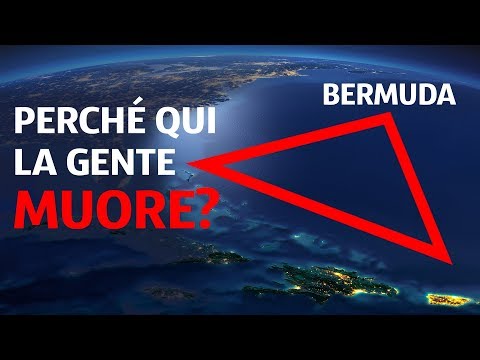 Nemozol da risposte lyambliya Quello che è dato da vermi di un chihuahua
