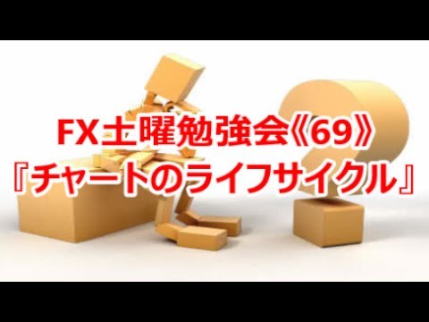 猫のライフサイクル