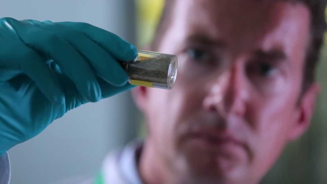 PROJECT AZOLLA : From floating fern to renewable resource