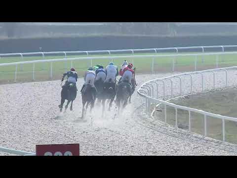 2019.10.27. 01. futam - SMILING HENDIKEP (V/b.) (szintetikus pálya)