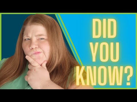 How are Food Stamps Benefits Calculated? (EBT Explained!)
