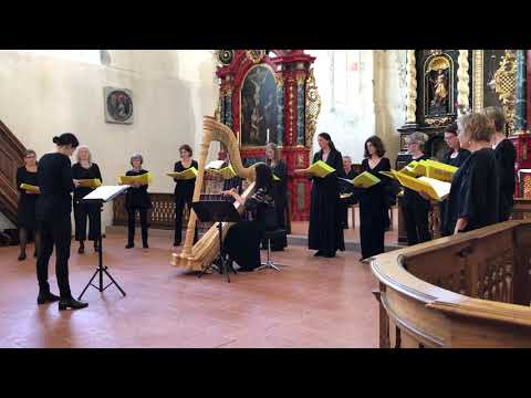 «Es tönt ein voller Harfenklang» - J. Brahms