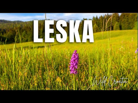 Leska