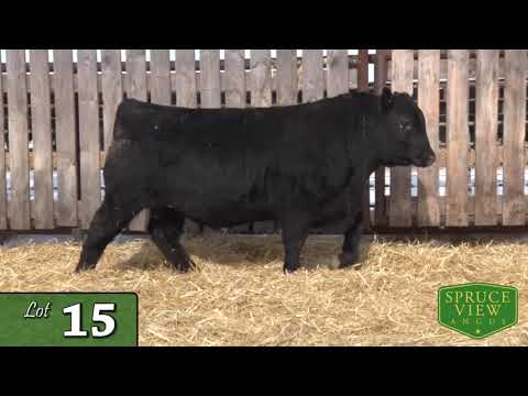 Lot 15 - Spruce View 2020.mp4