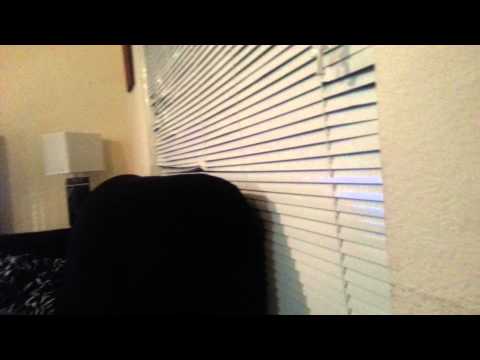 BTD Battles KOTH Mobile Tournament