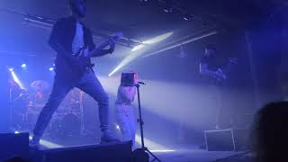 Guano apes tribute show