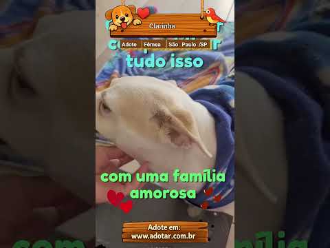 Vídeo de Clarinha