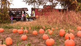 preview picture of video 'CMRR - Catskill Mountain Railroad - Pumpkin Train Rides - Kingston NY - SAVETHERAILS.ORG'