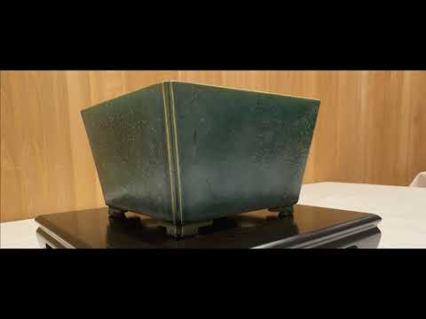 The Trophy 2021 - 'European Bonsai Potter Collective Trophy Pot Display 2021'