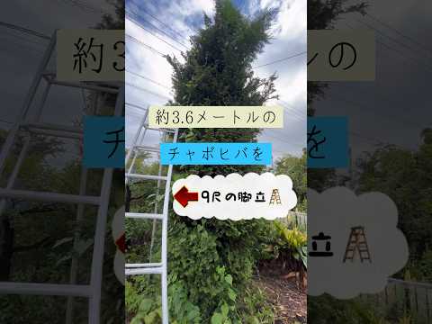 aménagement-paysager-Studio-H-méditerranéen-oranger-piscine