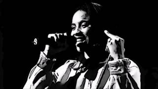 MC Lyte * Anthology Mega Mix — Badder Than B Fore.
