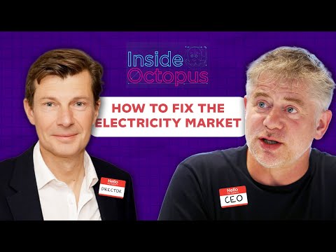 Octopus Energy & FTI Consulting Discuss Zonal Pricing