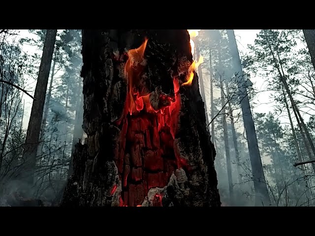 Продолжают гореть