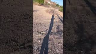 We are exploring a random golf course in search of golf balls !