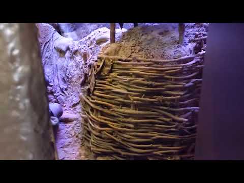 WW1 Museum trenches