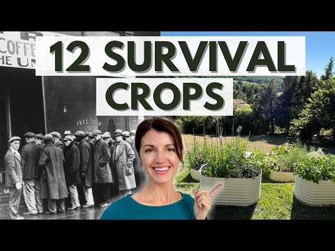 Grow These 12 Survival Crops Before Food Costs Rise Again!