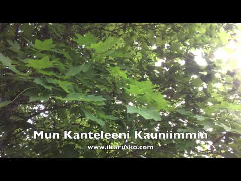 download lagu mp3 mp4 Mun Kanteleeni Kauniimmin, download lagu Mun Kanteleeni Kauniimmin gratis, unduh video klip Mun Kanteleeni Kauniimmin